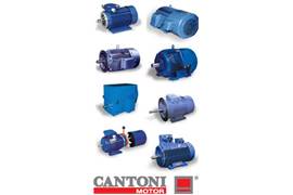Cantoni Motor 984.62556.03 (REPLACED BY) 2SIE132S-2B (112027)
