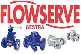 Flowserve Gestra LRGT 16-4  L=600 G1 PN40