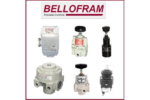 Bellofram 960-719-000 Pressure-regulator