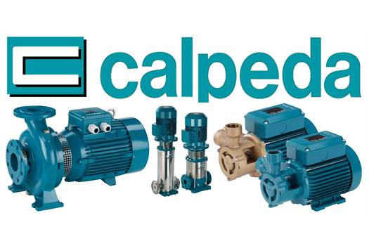 Calpeda NM 2/A/A  (Kreiselpumpe in Blockbauweise,  230/400 V, 50 Hz, 0.75 kW, IP 54, 2900 1/min) Pump