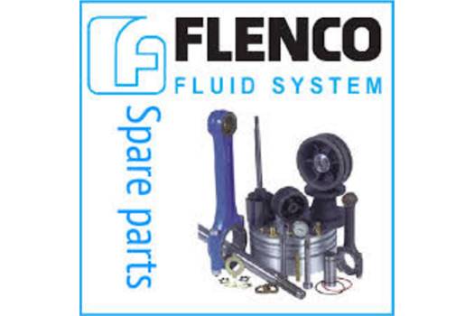Flenco Z5015267 FX2 100CC 10KG+KIT L