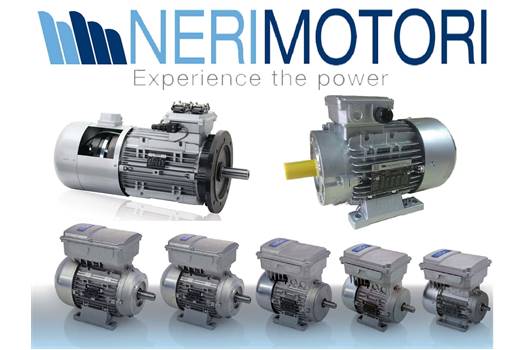 Neri Motori AT63R6 Geared motor,120W - 